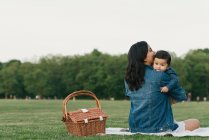 Rückansicht der Mutter, die neben einem Picknickkorb sitzt und den kleinen Jungen hält — Stockfoto