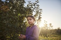 Fille dans le verger cueillette pomme de l'arbre, regardant caméra — Photo de stock