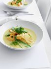 Plate of chicken curry with vegetables and parsley — Stock Photo