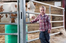 Porträt eines Jungen mit Kuh im Stall — Stockfoto