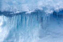 Detail of icicles in southern ocean — Stock Photo