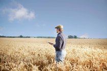 Agricultor que usa tableta en el campo - foto de stock