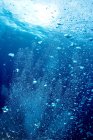 Air bubbles in deep blue water — Stock Photo