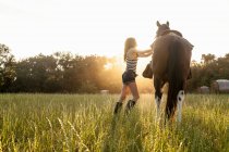 Mujer ensillando a caballo en el campo - foto de stock