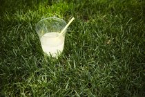 Lemonade in plastic cup on lawn — Stock Photo