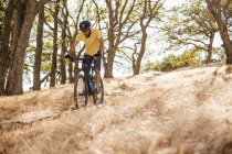 Піднятий вигляд молодого чоловіка на гірському велосипеді з лісистого пагорба, гора Діабло, район затоки, Каліфорнія, США. — стокове фото