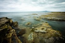 Rocas cubiertas de musgo en la costa - foto de stock