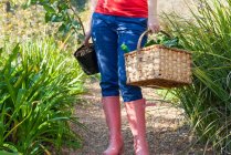 Abgeschnittenes Bild einer Frau, die Gemüse und Pflanzen trägt — Stockfoto