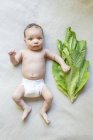 Новорожденный мальчик лежит рядом с листьями салата — стоковое фото