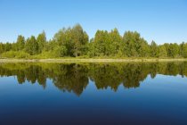 Árboles reflejados en lago inmóvil - foto de stock