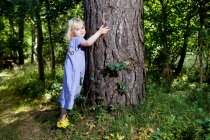 Menina abraçando árvore na floresta — Fotografia de Stock