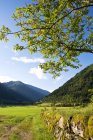 Landschaftlich reizvoller Blick auf landwirtschaftliche Flächen im Alltäglichen, Norwegen — Stockfoto