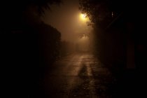 Вид на освітлену алеї в нічний — стокове фото