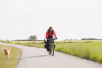 Человек на велосипеде с собакой — стоковое фото
