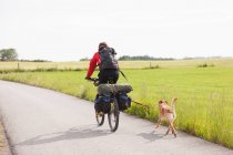 Vista trasera del hombre a caballo bicicleta con perro - foto de stock