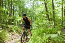 Male cyclist riding in forest — Stock Photo
