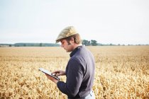 Landwirt nutzt Tablet-Computer auf Feld — Stockfoto