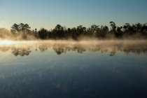 Salida del sol sobre el lago reflejando árboles - foto de stock