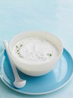 Tigela de iogurte herbérgico com colher — Fotografia de Stock