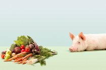 Piglet near fresh vegetables — Stock Photo