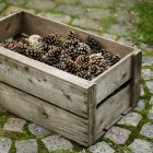 Caisse de cônes de pin — Photo de stock