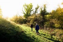 Gente caminando en el paisaje rural - foto de stock