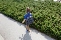 Menino andando por arbustos ao ar livre — Fotografia de Stock