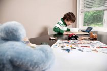 Junge am Tisch mit Schale voller Futter und Spielzeug — Stockfoto