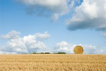Hay bale in field — Stock Photo