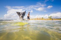 Australian Shepherd buscar disco voador do mar, Fort Walton Beach, Flórida, EUA — Fotografia de Stock