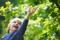 Boy examining leaves outdoors — Stock Photo