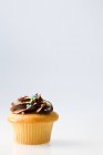 Cupcake decorato con crema al cioccolato e sprinkles — Foto stock