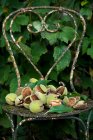 Fresh almonds in pods — Stock Photo