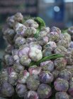 Nahaufnahme eines Haufens frisch gepflückten Knoblauch — Stockfoto