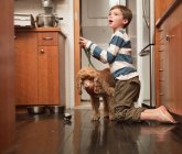Boy holding lead of pet dog in kitchen — Stock Photo