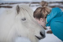 Женщина целует белого коня в снегу — стоковое фото