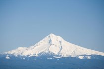 Snowcapped mount hood under clear blue sky — Stock Photo