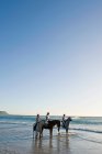 3 personas a caballo en la playa - foto de stock