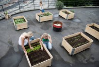 Les adolescentes travaillant dans des boîtes à plantes — Photo de stock
