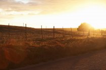 Dirt road with field — Stock Photo
