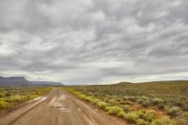 Chemin de terre à la campagne de Virgin, Utah, USA — Photo de stock