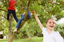 Діти грають на фруктовому дереві на лузі — стокове фото