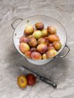 Ripe plums in colander and halved ones with knife on counter — Stock Photo
