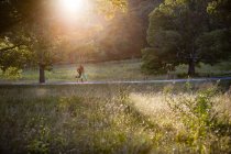 Молодая пара, бегущая под солнцем в парке — стоковое фото