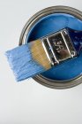 IS825-Paintbrush and blue paint — Stock Photo