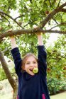 Ragazza sorridente che gioca su albero da frutto — Foto stock