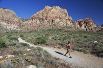 Vista lateral del excursionista caminando a lo largo del sendero, First Creek, Las Vegas, Nevada, EE.UU. - foto de stock