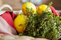 Корзина трав и лимонов — стоковое фото