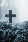 Cross in snowy field — Stock Photo