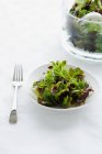 Saladas verdes em tigelas — Fotografia de Stock
